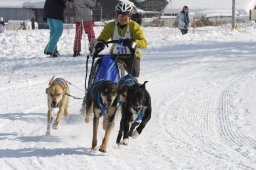 Lenk 2012 SM